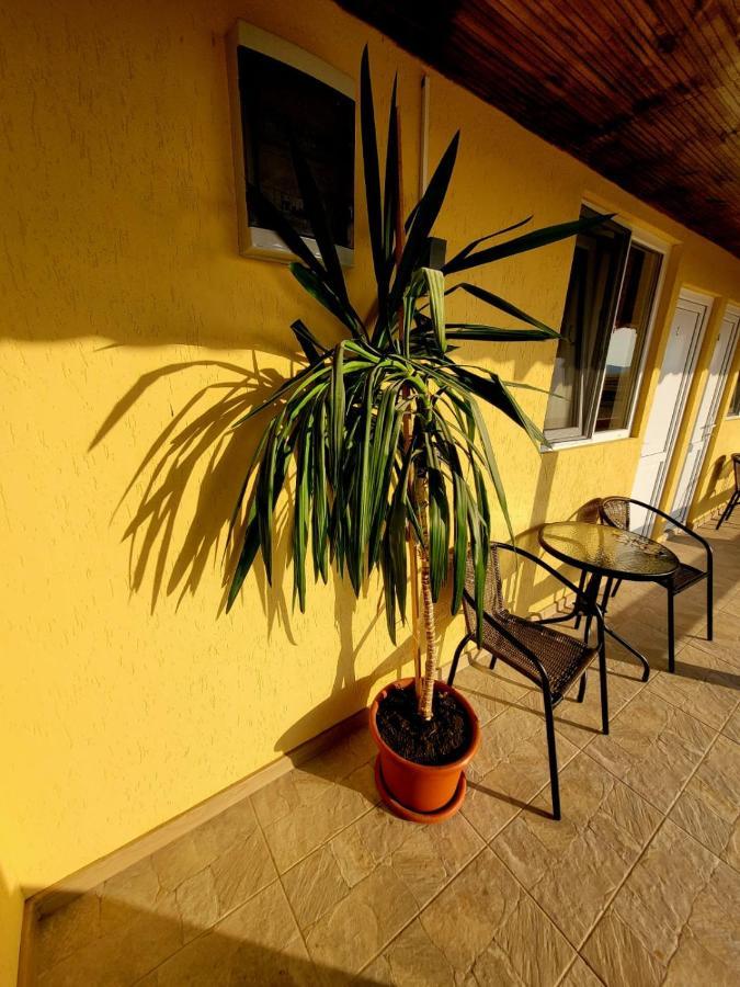 Cabana Varad Coronini Moldova Veche Zewnętrze zdjęcie