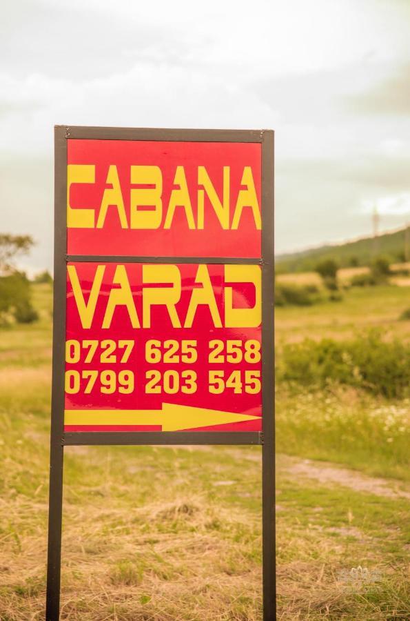 Cabana Varad Coronini Moldova Veche Zewnętrze zdjęcie